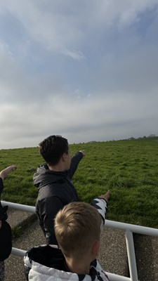 IMG_7981